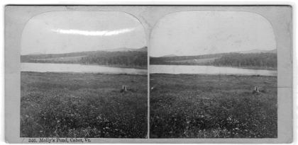 346. Molly's Pond, Cabot, Vt. (stereoview)