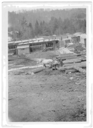 Unknown Cabot sawmill, 1940. From Charlene (Rollins) Cowens.