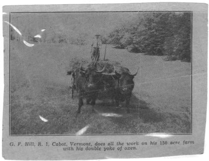G. F. Hill, R. 1, Cabot, Vermont, does all the work on his 150 acre farm with his double yoke of oxen.