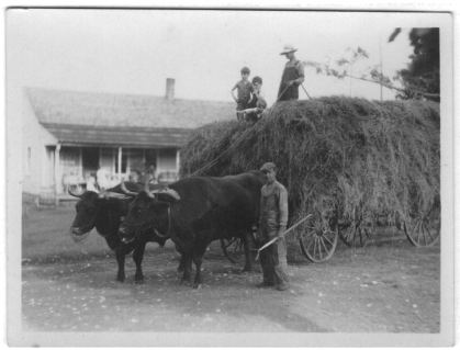 The load of hay – George's uncle on the ground beside the load.