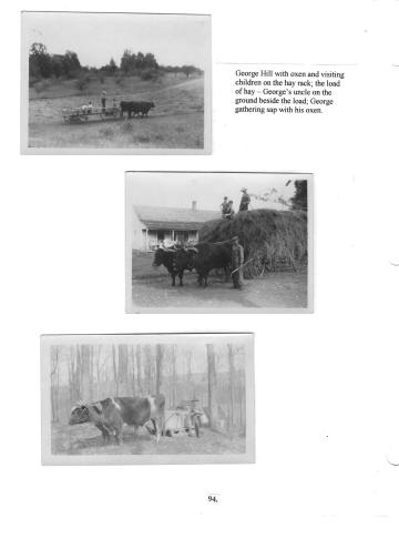Citizens of Cabot, Book 2, Page 94: Hill Family photos