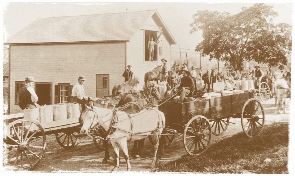 Cabot Creamery horse-drawn delivery carriages